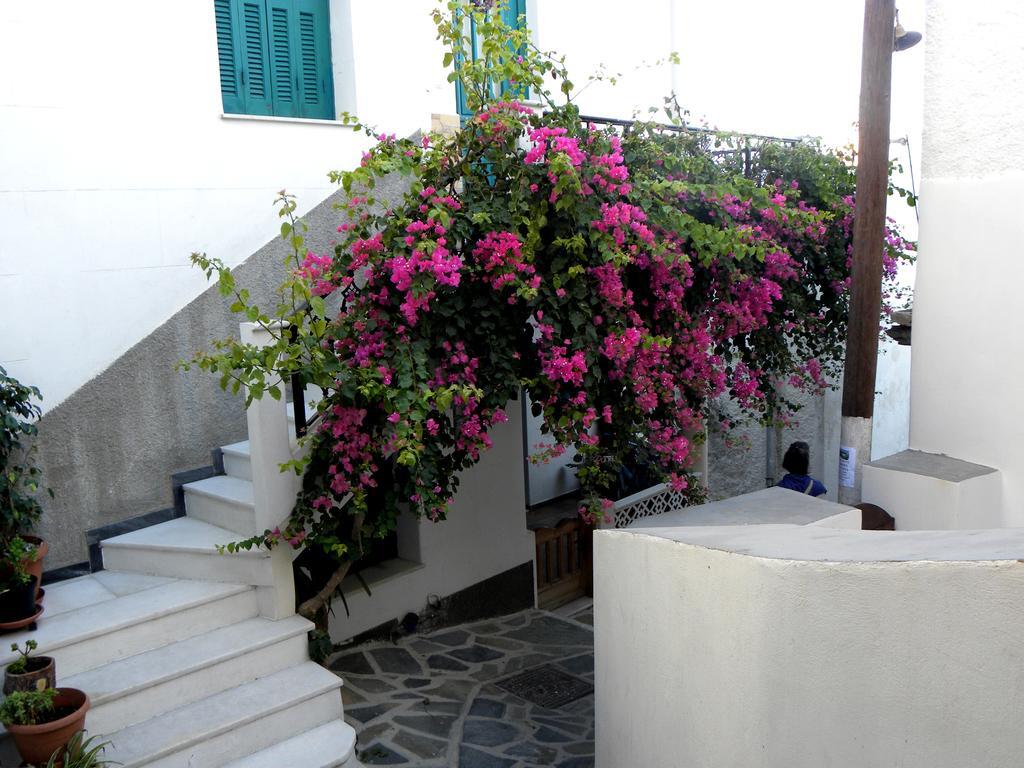 Hotel Anixis Naxos City Екстериор снимка