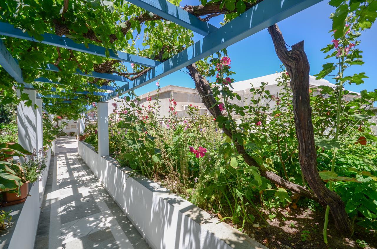 Hotel Anixis Naxos City Екстериор снимка